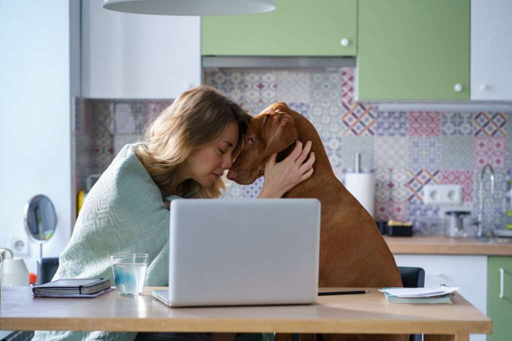 Webdesign Hannover - Eine Frau sitzt mit einem Laptop an einem Tisch, ihre Stirn berührt den Kopf eines braunen Hundes. Der Raum, vermutlich in Hannover, besticht durch bunt gemusterte Fliesen und grüne Schränke. Auf dem Tisch stehen ein Glas Wasser und ein Notizbuch, während sie über eine neue Minijob-Gelegenheit nachdenkt. Local SEO Agentur Hannover.